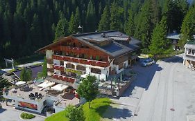 Hotel Almhof
